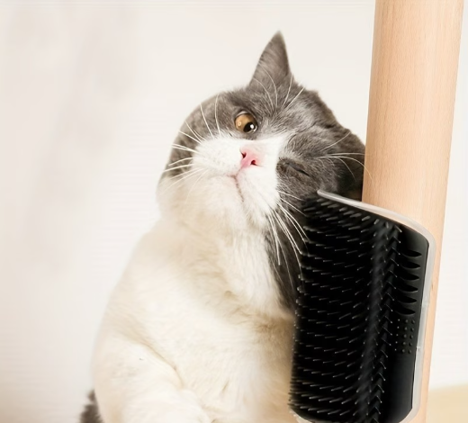 TailTreasures™ Self-Grooming Corner Brush for Cats